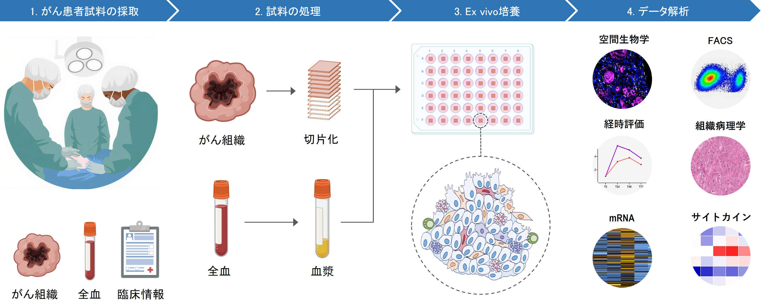 TruTumor Process Overview