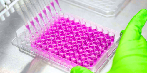 in-vitro-assay
