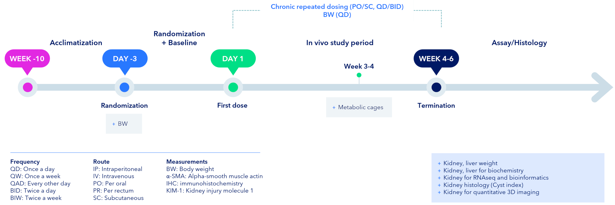 Study Outline