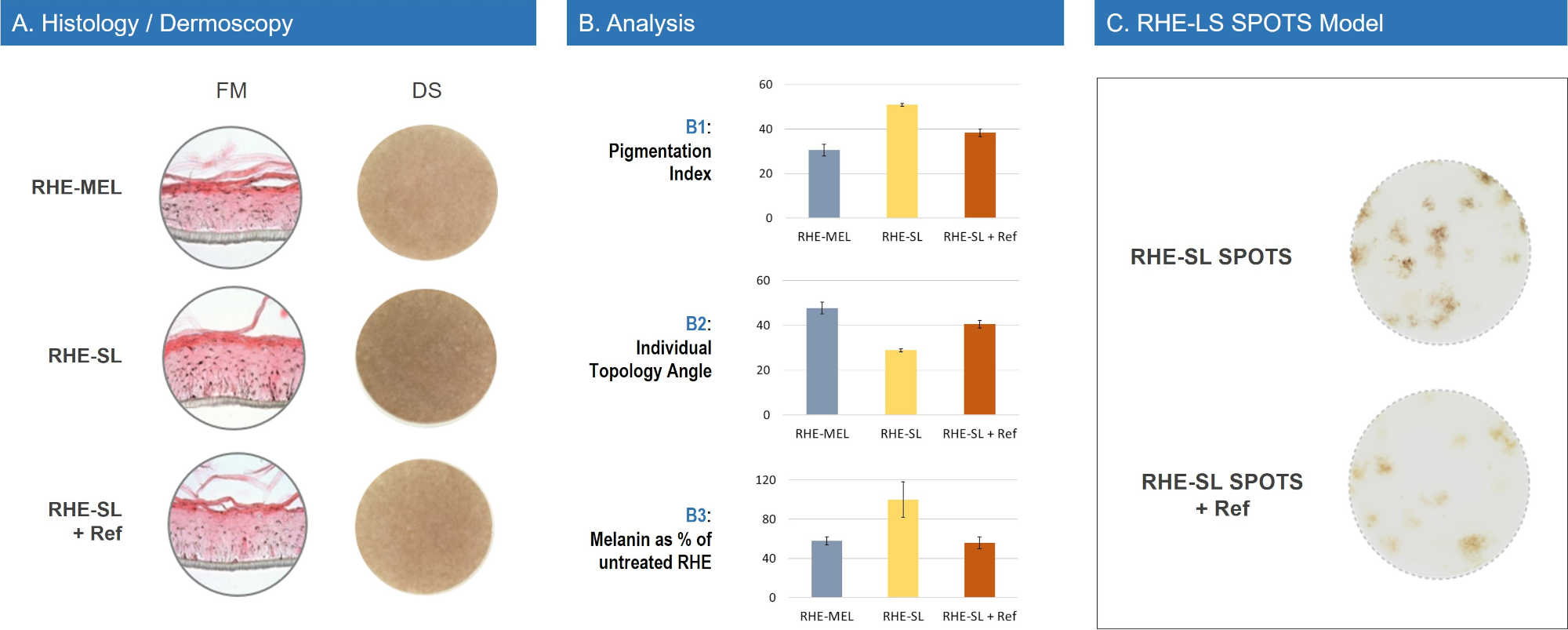 RHE Pigmentation Model Data