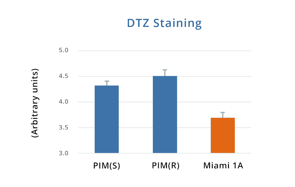 Islet DTZ Staining Data