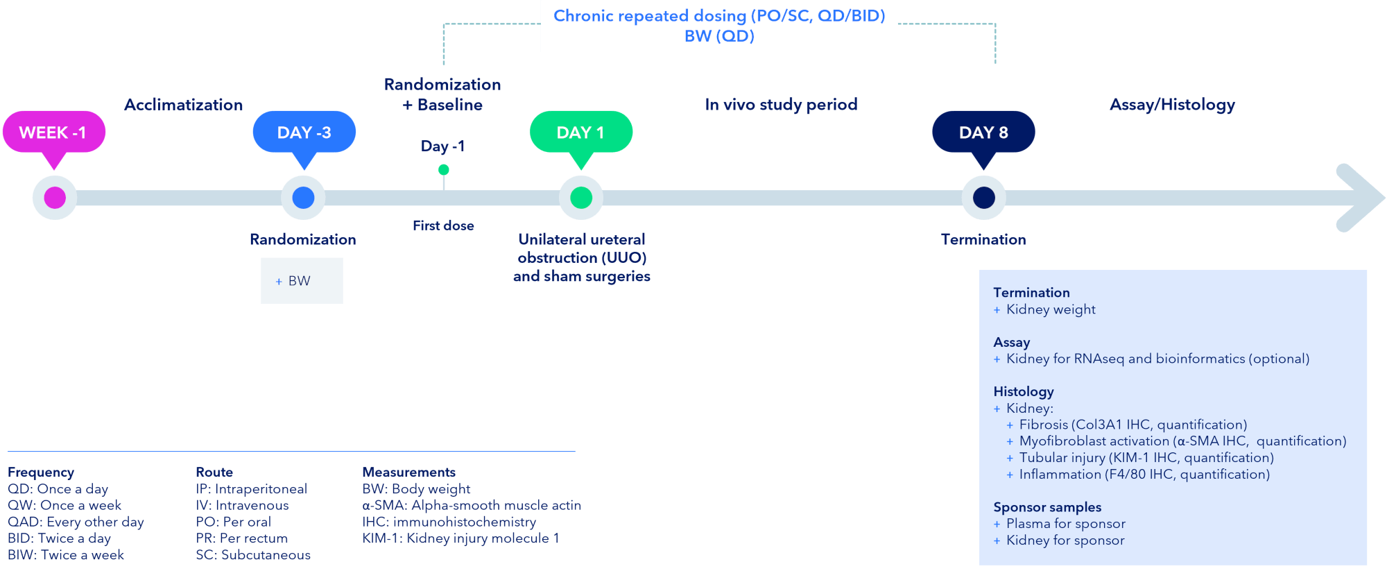 Study Outline